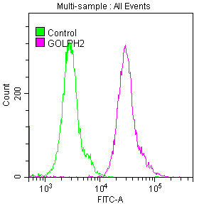 Overlay histogram showing Hela cells stained with CSB-RA009666A0HU (red line) at 1:50. The cells were fixed with 70% Ethylalcohol (18h) and then permeabilized with 0.3% Triton X-100 for 2 min. The cells were then incubated in 1x PBS /10% normal goat serum to block non-specific protein-protein interactions followed by primary antibody for 1 h at 4℃. The secondary antibody used was FITC goat anti-rabbit IgG (H+L) at 1/200 dilution for 1 h at 4℃. Control antibody (green line) was used under the same conditions. Acquisition of >10,000 events was performed.