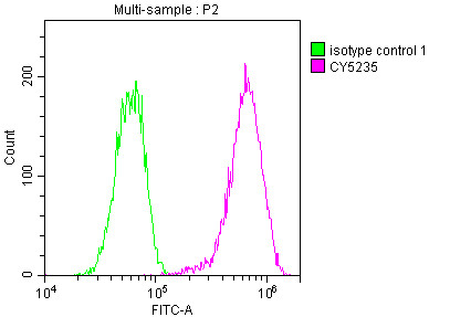 Overlay histogram showing Hela cells stained with CSB-RA575353A0HU (red line) at 1:50. The cells were incubated in 10% normal goat serum to block non-specific protein-protein interactions followedby the antibody (1µg/1*106cells) for 1 h at 4℃.The secondary antibody used was FITC-conjugated goat anti-rabbit IgG (H+L) at 1/200 dilution for 30min at 4℃. Control antibody (green line) was Rabbit IgG (1µg/1*106cells) used under the same conditions. Acquisition of >10,000 events was performed.