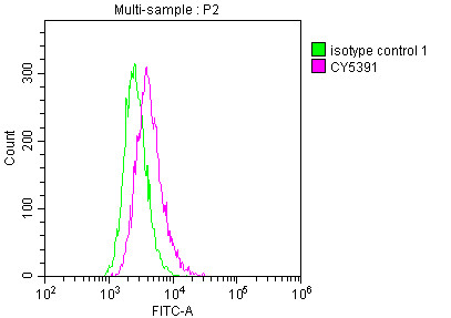 Overlay histogram showing Raji cells stained with CSB-RA162789A0HU (red line) at 1:50. The cells were incubated in 10% normal goat serum to block non-specific protein-protein interactions followedby the antibody (1µg/1*106cells) for 1 h at 4℃.The secondary antibody used was FITC-conjugated goat anti-rabbit IgG (H+L) at 1/200 dilution for 30min at 4℃. Control antibody (green line) was Rabbit IgG (1µg/1*106cells) used under the same conditions. Acquisition of >10,000 events was performed.