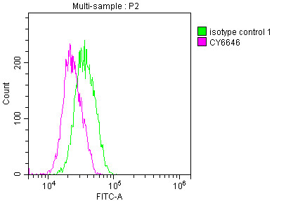 Overlay histogram showing Jurkat cells stained with CSB-RA200985A0HU (red line) at 1:50. The cells were fixed with 70% Ethylalcohol (18h) and then incubated in 10% normal goat serum to block non-specific protein-protein interactions followedby the antibody (1µg/1*106cells) for 1 h at 4℃.The secondary antibody used was FITC-conjugated goat anti-rabbit IgG (H+L) at 1/200 dilution for 30min at 4℃. Control antibody (green line) was Rabbit IgG (1µg/1*106cells) used under the same conditions. Acquisition of >10,000 events was performed.