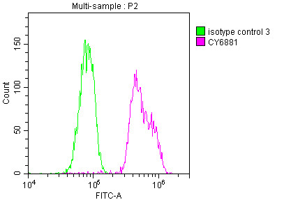 Overlay histogram showing Hela cells stained with CSB-RA263021A0HU (red line) at 1:50. The cells were fixed with 70% Ethylalcohol (18h) and then incubated in 10% normal goat serum to block non-specific protein-protein interactions followedby the antibody (1µg/1*106cells) for 1 h at 4℃.The secondary antibody used was FITC-conjugated goat anti-rabbit IgG (H+L) at 1/200 dilution for 30min at 4℃. Control antibody (green line) was Rabbit IgG (1µg/1*106cells) used under the same conditions. Acquisition of >10,000 events was performed.