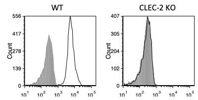 Anti CLEC-2 mAb (Clone 2A2B10) <br>Flow Cytometry: see datasheet for details