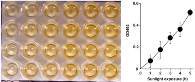 Figure 2. Solar UV-induced DewarPPs are detected by ELISA.The exposure-dependent induction of Dewar photoproducts (DewarPPs) in solar UV-irradiated calf thymus DNA was measured by ELISA with clone DEM-1.