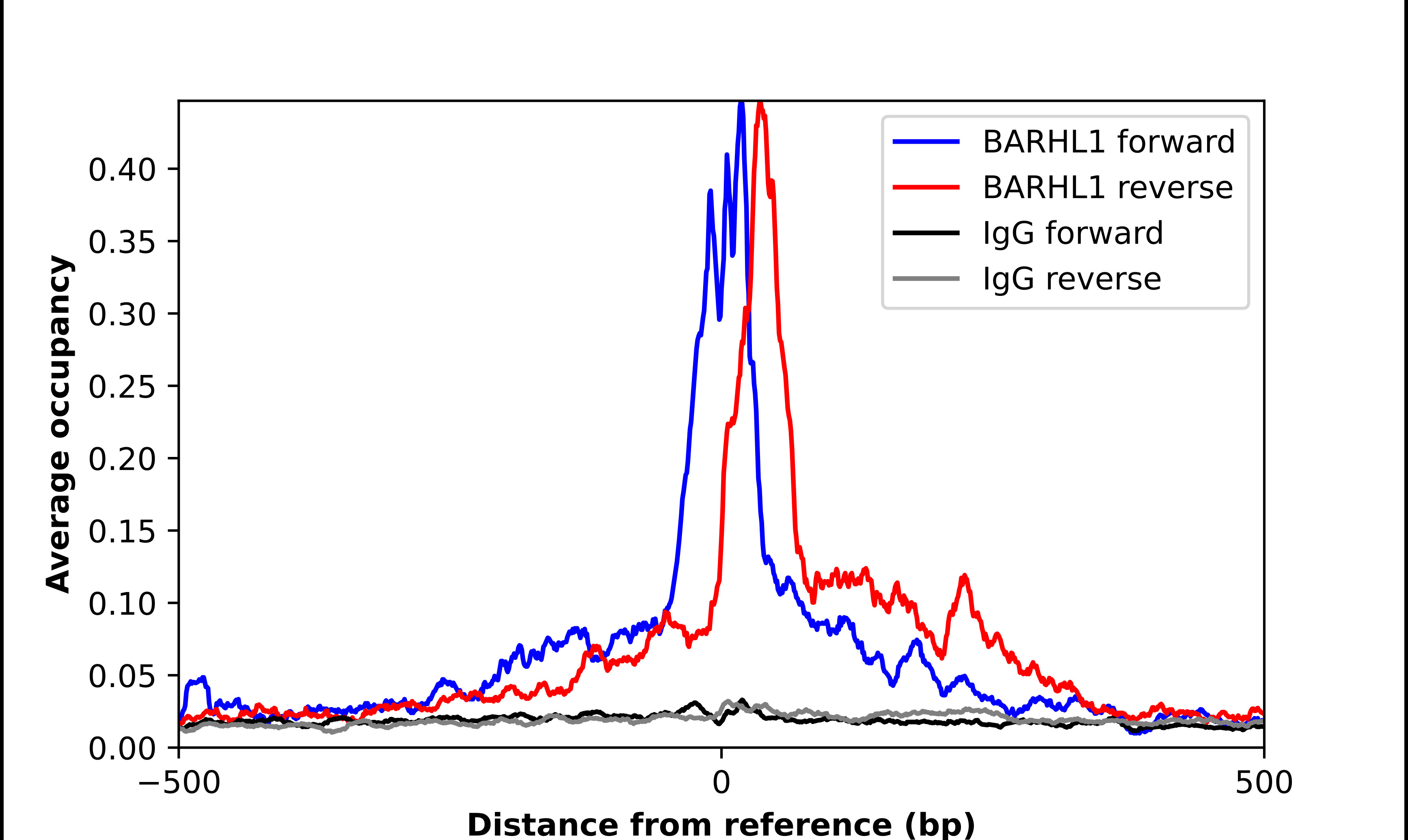 ChIP-Exo-Seq composite graph for Anti-BARHL1 (HPA004809, Lot 000037963) tested in K562 cells. Strand-specific reads (blue: forward, red: reverse) and IgG controls (black: forward, grey: reverse) are plotted against the distance from a composite set of reference binding sites. The antibody exhibits robust target enrichment compared to a non-specific IgG control and precisely reveals its structural organization around the binding site. Data generated by Prof. B. F. Pugh's Lab at Cornell University.