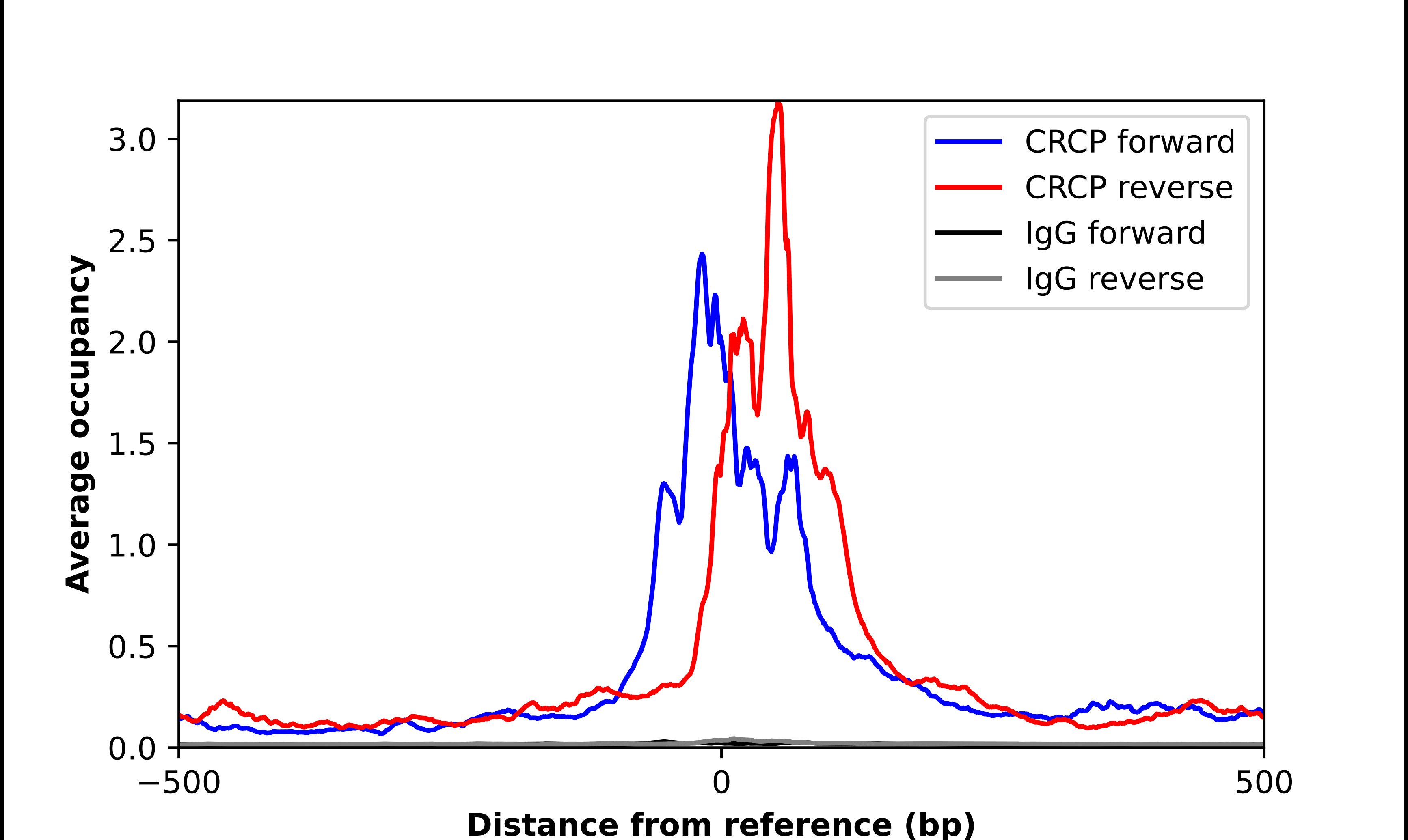 ChIP-Exo-Seq composite graph for Anti-CRCP (HPA007216, Lot A69615) tested in K562 cells. Strand-specific reads (blue: forward, red: reverse) and IgG controls (black: forward, grey: reverse) are plotted against the distance from a composite set of reference binding sites. The antibody exhibits robust target enrichment compared to a non-specific IgG control and precisely reveals its structural organization around the binding site. Data generated by Prof. B. F. Pugh's Lab at Cornell University.