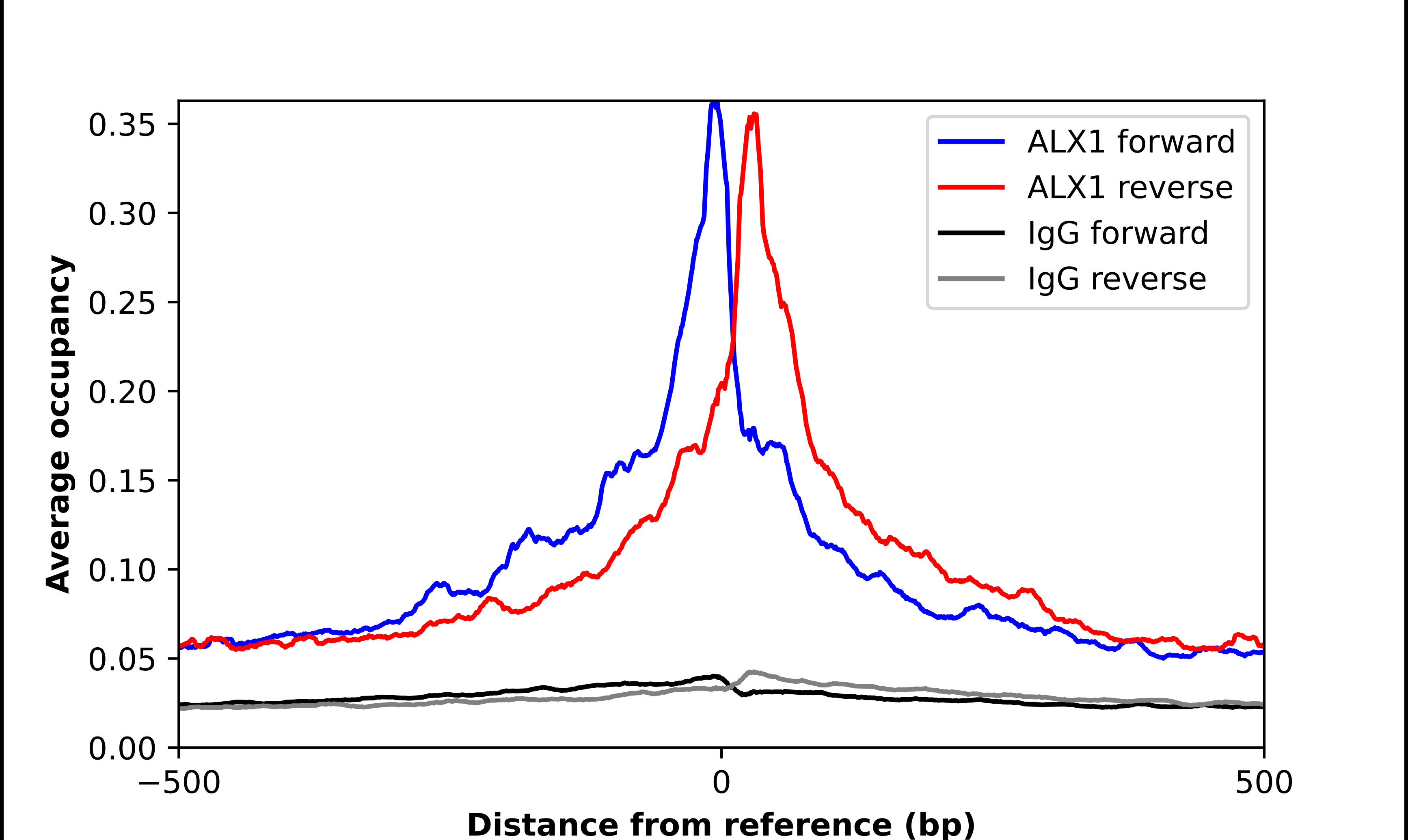 ChIP-Exo-Seq composite graph for Anti-ALX1 (HPA018905, Lot 000058753) tested in K562 cells. Strand-specific reads (blue: forward, red: reverse) and IgG controls (black: forward, grey: reverse) are plotted against the distance from a composite set of reference binding sites. The antibody exhibits robust target enrichment compared to a non-specific IgG control and precisely reveals its structural organization around the binding site. Data generated by Prof. B. F. Pugh's Lab at Cornell University.