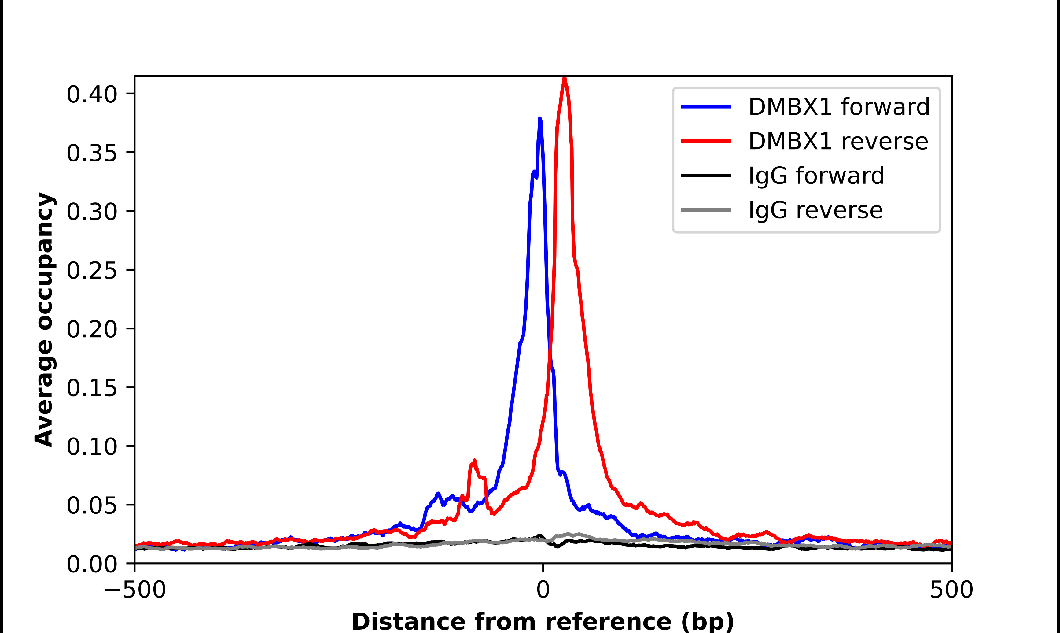 ChIP-Exo-Seq composite graph for Anti-DMBX1 (HPA026811, Lot 000018413) tested in K562 cells. Strand-specific reads (blue: forward, red: reverse) and IgG controls (black: forward, grey: reverse) are plotted against the distance from a composite set of reference binding sites. The antibody exhibits robust target enrichment compared to a non-specific IgG control and precisely reveals its structural organization around the binding site. Data generated by Prof. B. F. Pugh's Lab at Cornell University.