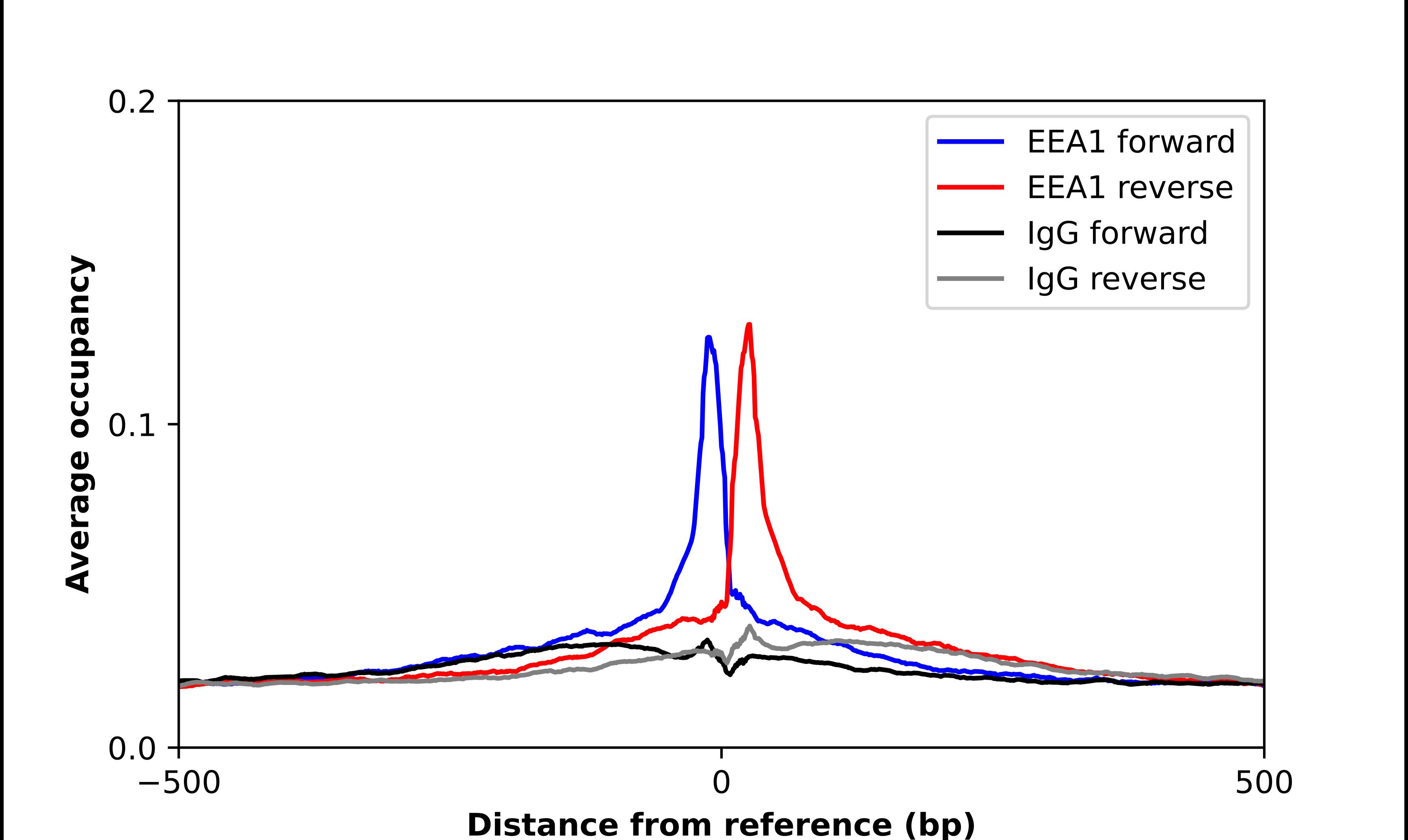 ChIP-Exo-Seq composite graph for Anti-EEA1 (HPA038159, Lot 000057997) tested in K562 cells. Strand-specific reads (blue: forward, red: reverse) and IgG controls (black: forward, grey: reverse) are plotted against the distance from a composite set of reference binding sites. The antibody exhibits robust target enrichment compared to a non-specific IgG control and precisely reveals its structural organization around the binding site. Data generated by Prof. B. F. Pugh's Lab at Cornell University.