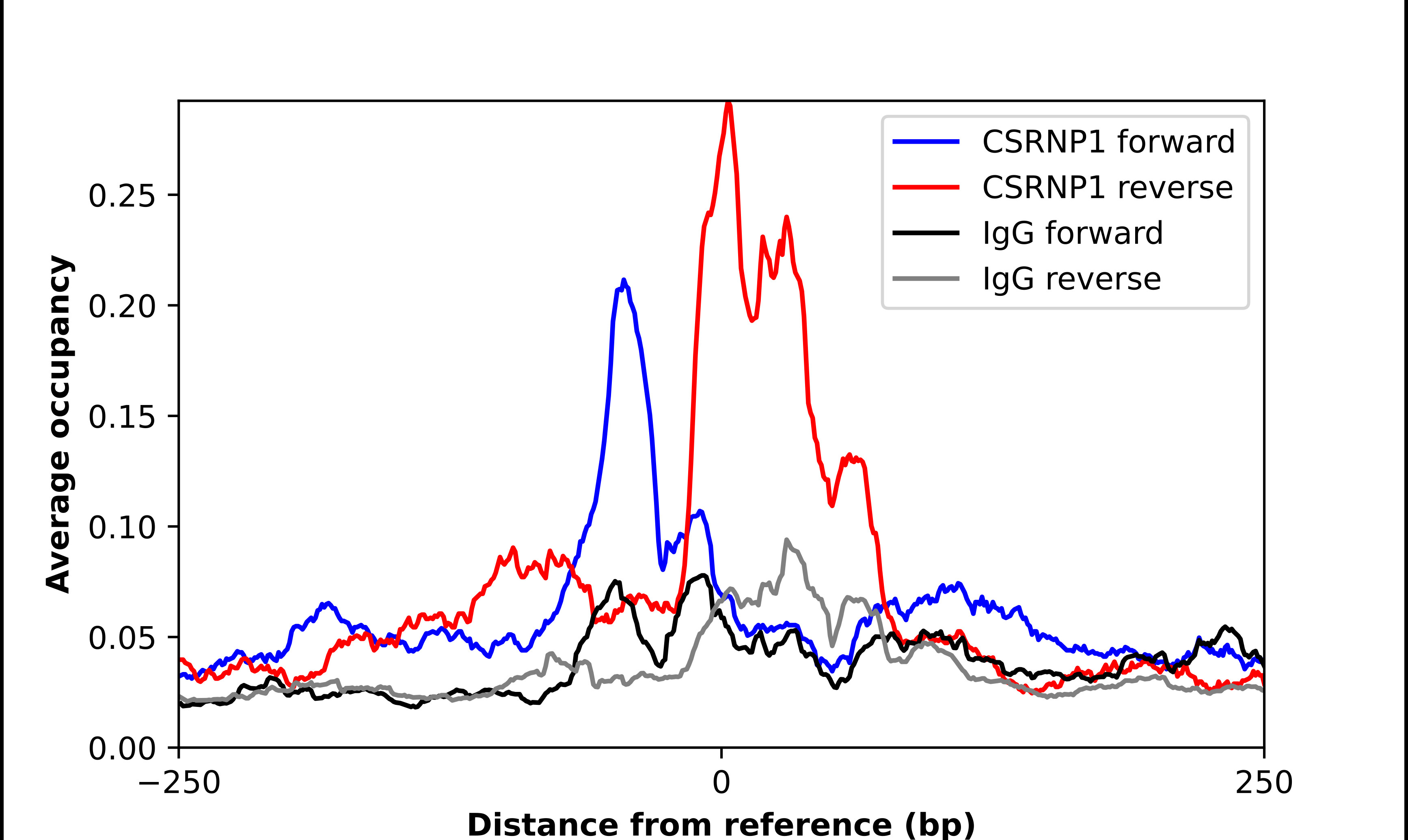 ChIP-Exo-Seq composite graph for Anti-CSRNP1 (HPA058463, Lot R81760) tested in K562 cells. Strand-specific reads (blue: forward, red: reverse) and IgG controls (black: forward, grey: reverse) are plotted against the distance from a composite set of reference binding sites. The antibody exhibits robust target enrichment compared to a non-specific IgG control and precisely reveals its structural organization around the binding site. Data generated by Prof. B. F. Pugh's Lab at Cornell University.