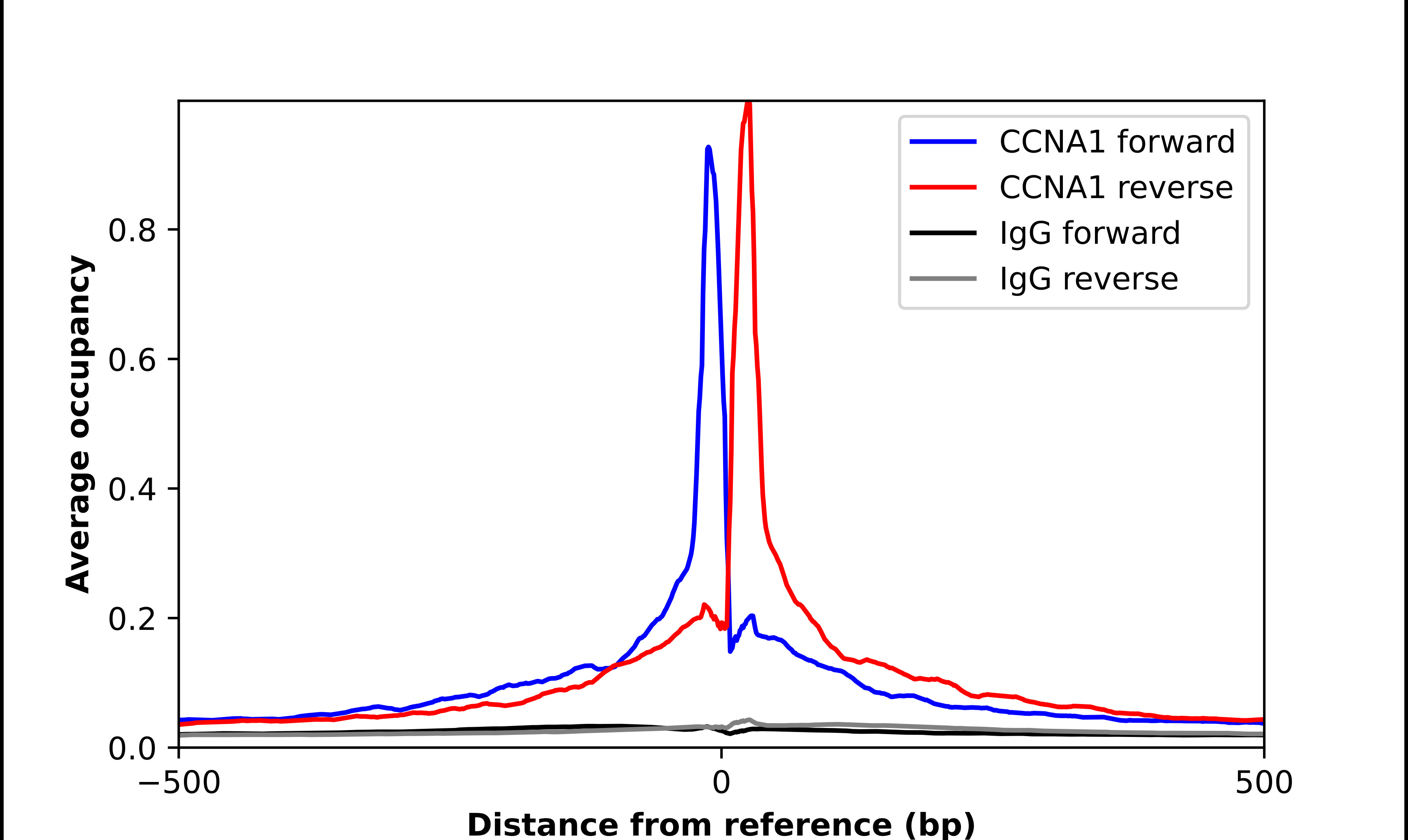 ChIP-Exo-Seq composite graph for Anti-CCNA1 (HPA060646, Lot R85155) tested in K562 cells. Strand-specific reads (blue: forward, red: reverse) and IgG controls (black: forward, grey: reverse) are plotted against the distance from a composite set of reference binding sites. The antibody exhibits robust target enrichment compared to a non-specific IgG control and precisely reveals its structural organization around the binding site. Data generated by Prof. B. F. Pugh's Lab at Cornell University.