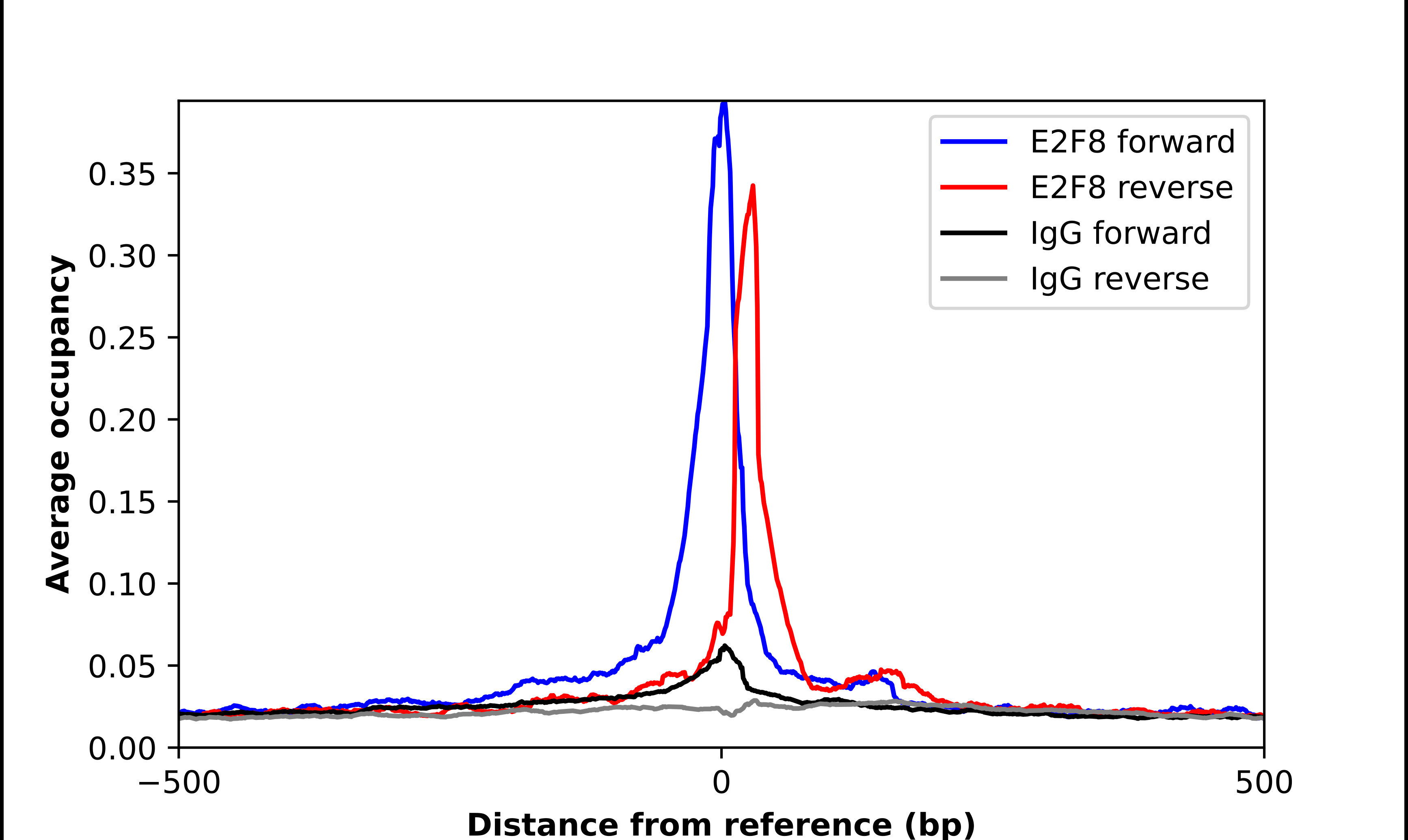 ChIP-Exo-Seq composite graph for Anti-E2F8 (HPA064882, Lot R91442) tested in K562 cells. Strand-specific reads (blue: forward, red: reverse) and IgG controls (black: forward, grey: reverse) are plotted against the distance from a composite set of reference binding sites. The antibody exhibits robust target enrichment compared to a non-specific IgG control and precisely reveals its structural organization around the binding site. Data generated by Prof. B. F. Pugh's Lab at Cornell University.