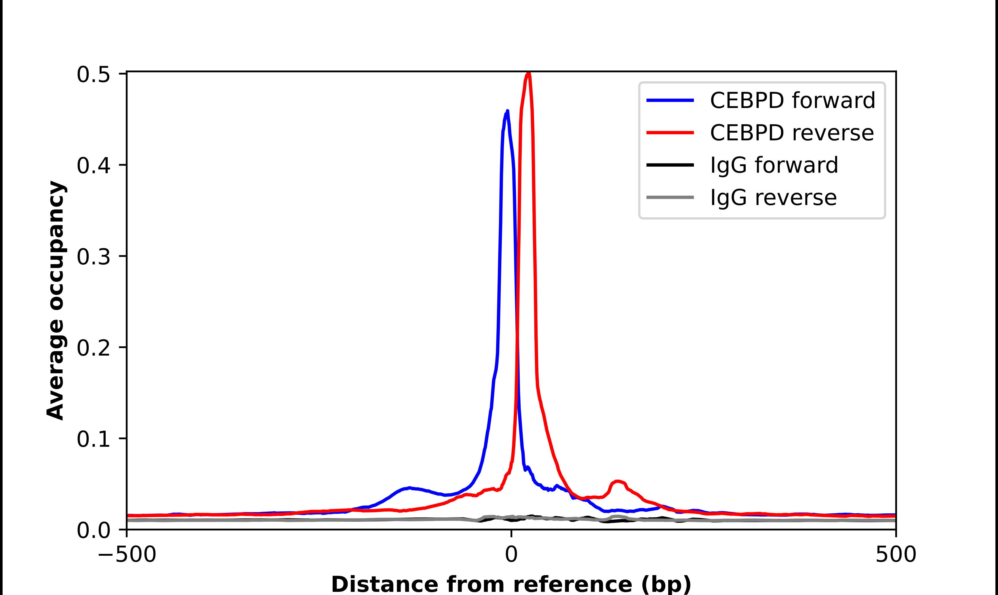 ChIP-Exo-Seq composite graph for Anti-CEBPD (HPA067581, Lot R97701) tested in K562 cells. Strand-specific reads (blue: forward, red: reverse) and IgG controls (black: forward, grey: reverse) are plotted against the distance from a composite set of reference binding sites. The antibody exhibits robust target enrichment compared to a non-specific IgG control and precisely reveals its structural organization around the binding site. Data generated by Prof. B. F. Pugh's Lab at Cornell University.
