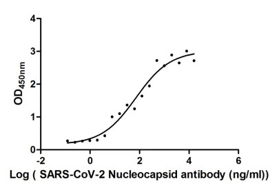 The Binding Activity of SARS-CoV-2-N Antibody with SARS-CoV-2-N
Activity: Measured by its binding ability in a functional ELISA. Immobilized SARS-CoV-2-N (CSB-EP3325GMY) at 5 μg/ml can bind SARS-CoV-2-N Antibody, the EC50 of SARS-CoV-2-N Antibody is 43.50-118.4 ng/ml.