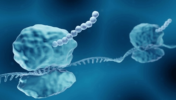 Cell-Free Protein Synthesis: A Faster, More Flexible Alternative to Traditional Expression