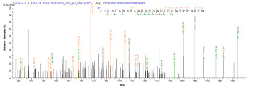 Based on the SEQUEST from database of E.coli host and target protein, the LC-MS/MS Analysis result of CSB-EP637747BO could indicate that this peptide derived from E.coli-expressed Bos taurus (Bovine) PAG2.