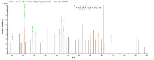 Based on the SEQUEST from database of E.coli host and target protein, the LC-MS/MS Analysis result of CSB-EP349383EGX could indicate that this peptide derived from E.coli-expressed Escherichia coli O6:H1 (strain CFT073 / ATCC 700928 / UPEC) tdcD.