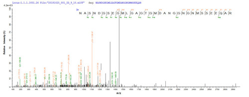 Based on the SEQUEST from database of E.coli host and target protein, the LC-MS/MS Analysis result of CSB-EP364257ENV could indicate that this peptide derived from E.coli-expressed Escherichia coli (strain K12) pal.