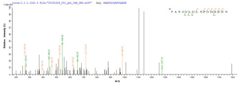 Based on the SEQUEST from database of Yeast host and target protein, the LC-MS/MS Analysis result of CSB-YP865559HEO could indicate that this peptide derived from Yeast-expressed Hepatitis B virus genotype D subtype ayw (isolate Japan/JYW796/1988) (HBV-D) X.