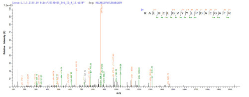 Based on the SEQUEST from database of E.coli host and target protein, the LC-MS/MS Analysis result of CSB-EP677939HU1 could indicate that this peptide derived from E.coli-expressed Homo sapiens (Human) ERFE.