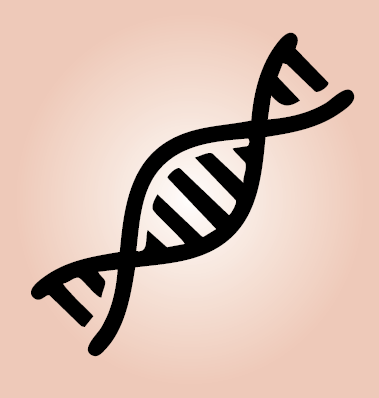 DNA Size Markers, (PHI)X174/Hae III digest