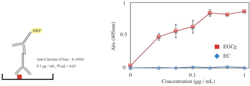 Figure 1. The concentrations of epigallocatechin gallate (EGCg) and epicatechin (EC) were measured by the direct ELISA method.
Anti-catechin antibody (clone ​​b-1058) was diluted 10,000-fold (0.1 ug / mL) and 50 uL was added to each well.
