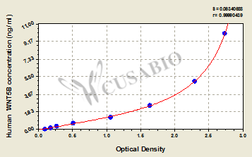 Protein Wnt-5b (WNT5B) ELISA Kit (human)