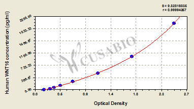 Protein Wnt-16 (WNT16) ELISA Kit (human)
