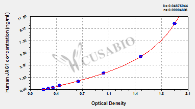 Protein Jagged-1 (JAG1) ELISA Kit (human)