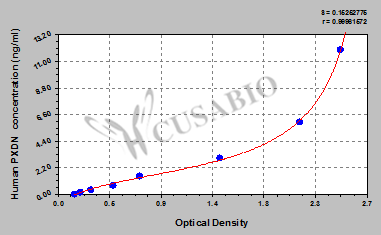 Peroxidasin homolog (PXDN) ELISA Kit (human)