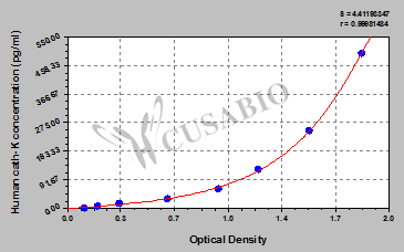 Cathepsin K (CTSK) ELISA Kit (human)