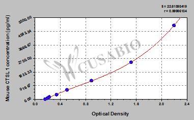 Cathepsin L1 (CTSL1) ELISA Kit (mouse)