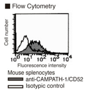 Anti-CD52 (CAMPATH-1) (Mouse) mAb (Clone: BTG-2G)
