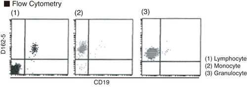 Anti-Flavocytochrome b558 (Human) mAb-PE (Clone: 7D5)