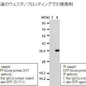 Anti-GFP pAb-HRP-DirecT
