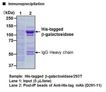 Anti-His-tag mAb-Magnetic Beads (Clone: OGHis)