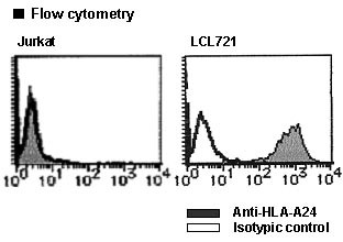 Anti-HLA-A24 (Human) mAb-FITC (Clone: 17A10)