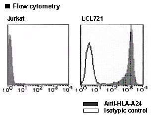 Anti-HLA-A24 (Human) mAb-PE (Clone: 22E1)