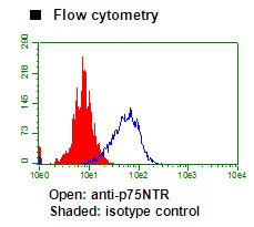 Anti-p75NTR (Mouse) mAb (Clone: 25-8)