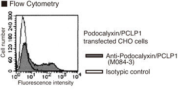 Anti-Podocalyxin (PCLP1) (Human) mAb (Clone: 53D11)