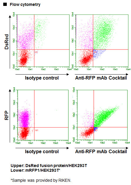Anti-RFP mAb Cocktail (Clone: 1G9,3G5 (mixed))