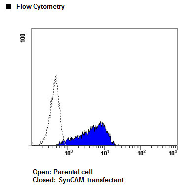 Anti-SynCAM (TSLC1/CADM1) mAb-Alexa Fluor®647 (Clone: 3E1)