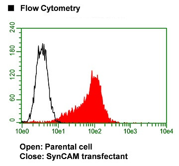 Anti-SynCAM (TSLC1/CADM1) mAb-Biotin (Clone: 3E1)