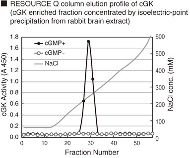 CycLex® Cyclic GMP dependent protein kinase (cGK) Assay Kit