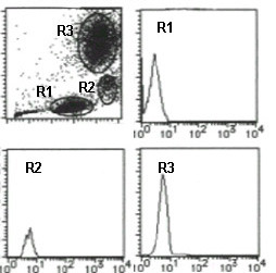 Rat IgG2a (isotype control) (Clone: 2H3)