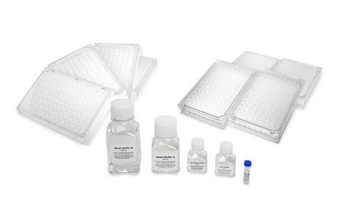 LeukoComplete™ Gene Detection Kit for human IL10