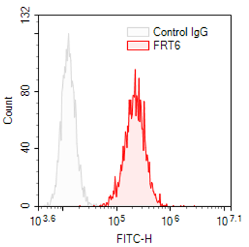 CD81 mAb FRT6 (purified) 1 mg