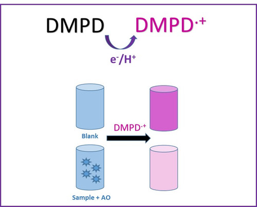 DMPD Antioxidant Capacity Assay Kit