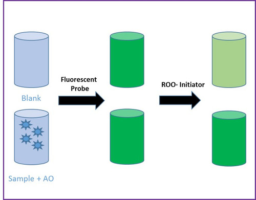 ORAC Antioxidant Assay Kit