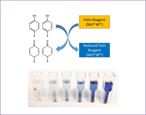 Polyphenols Quantification Assay kit - Folin Ciocalteu