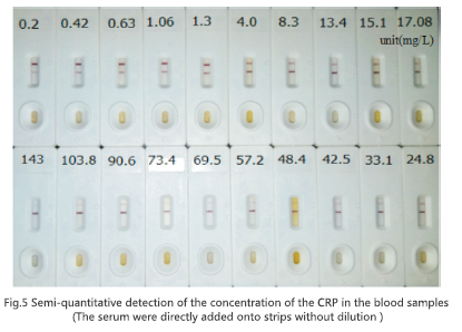 Anti C-reactive Protein mAb (CSB-DA402GmN-1)